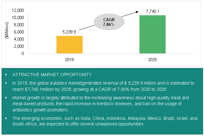 Global Eubiotics Market